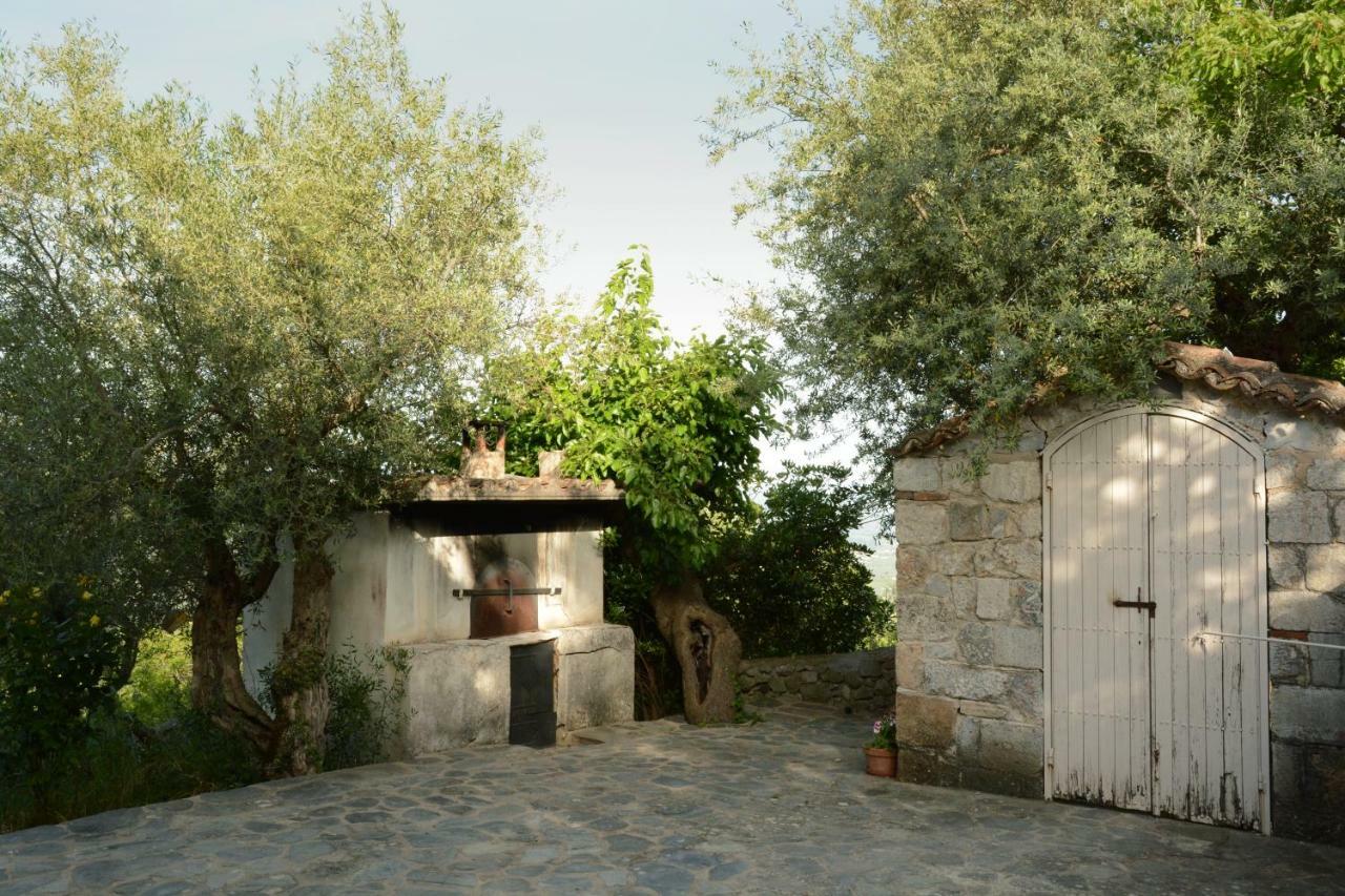 Mistra Estates Villa The Vine Pikouliánika 외부 사진