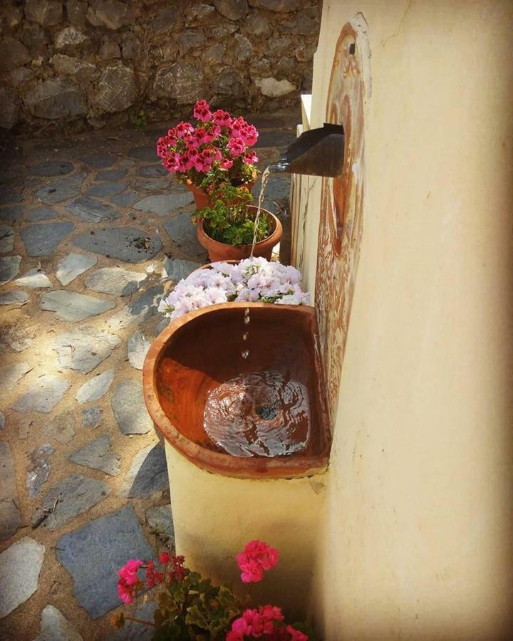 Mistra Estates Villa The Vine Pikouliánika 외부 사진